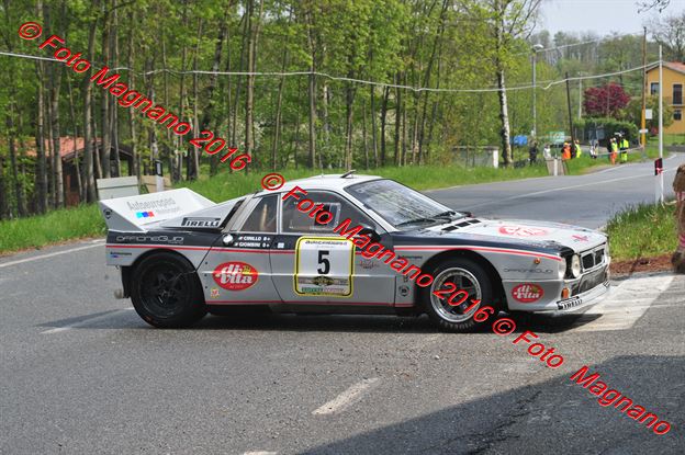 DSC_8980.JPG